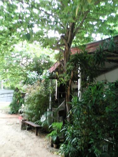 Hostal Lotus Inn Tourist Resort