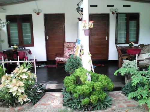 Hostal Lotus Inn Tourist Resort