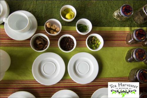Hotel Tea Harvester