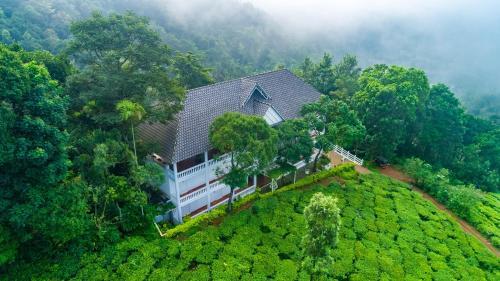 Hotel Tea Harvester
