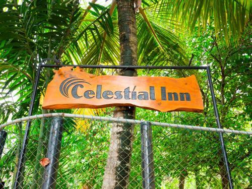 Bed & Breakfast Celestial Inn
