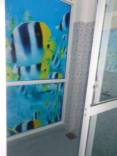 Hostal Blue Elephant Tourist Guesthouse