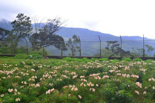 Villa Sky Breeze Nuwara Eliya, Sri Lanka