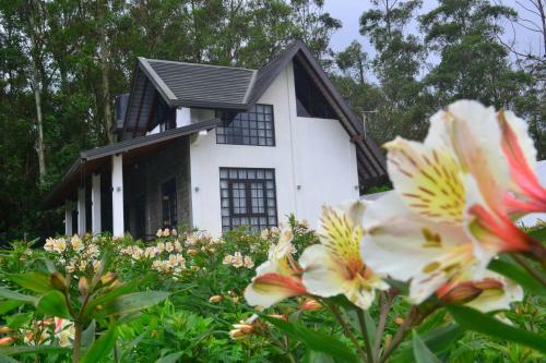 Villa Sky Breeze Nuwara Eliya, Sri Lanka