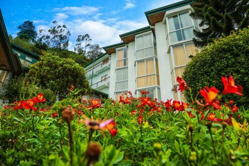 Hotel Oak Ray Summer Hill Breeze