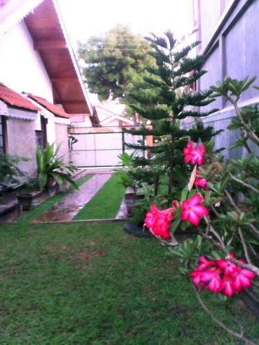 Hostal L.l.p. Guest House