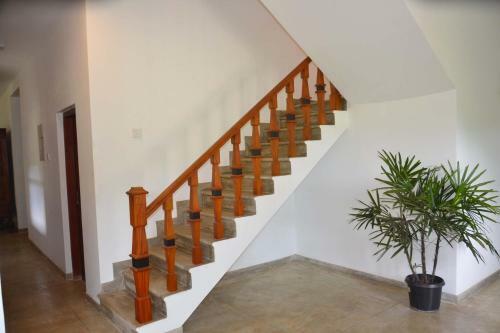 Bed & Breakfast Bloomsbury Holiday Resort