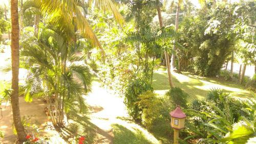 Bed & Breakfast Palm Garden Guest House