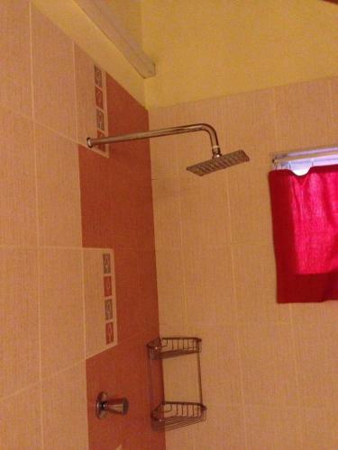 Hostal Primate Centre
