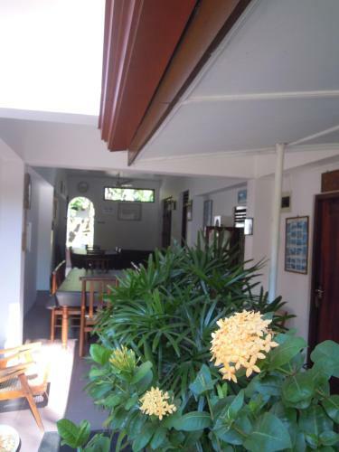 Hostal Devi Tourist Home