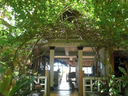 Hostal Ibis Guesthouse & Bungalows