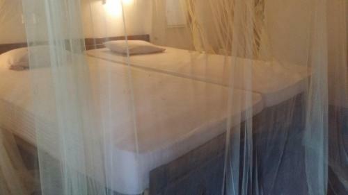 Hostal Gayana Guest House