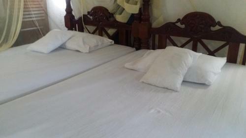 Hostal Gayana Guest House