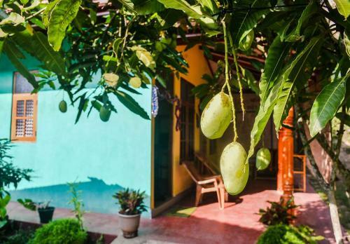 Hostal Nethmi Homestay