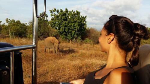 Hostal Elephants Fence Guest & Safari Services