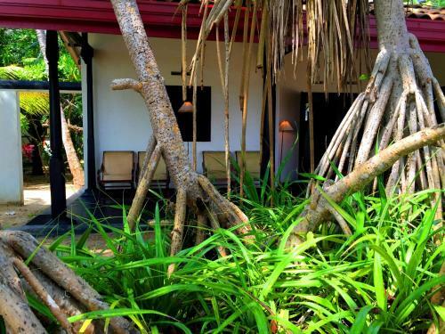 Hotel Shehani Beach Bungalow