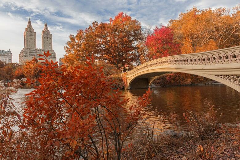 Hotel Ritz-carlton New York Central Park