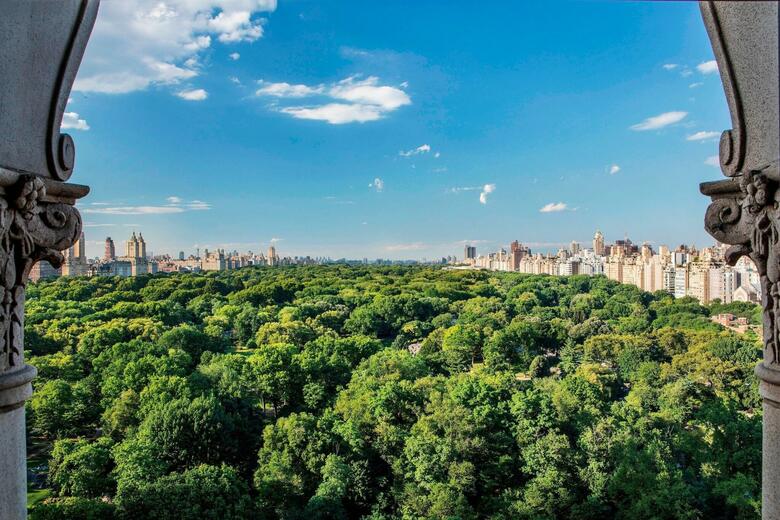 Hotel Ritz-carlton New York Central Park