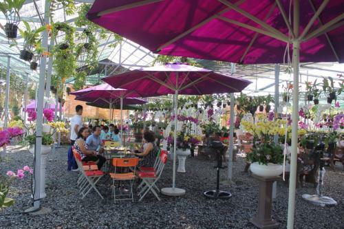 Aloe Garden Homestay
