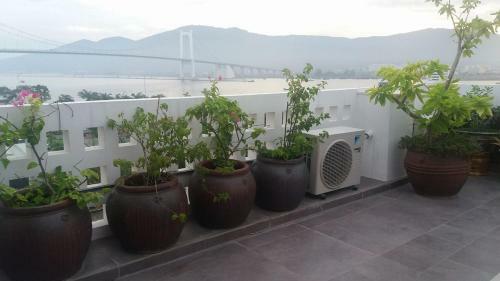 Aloe Garden Homestay