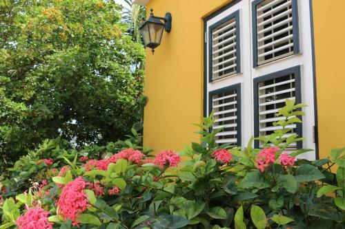 Bed & Breakfast Landhuis Bona Vista