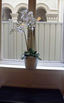 Hotel Claremont Guesthouse (doble)