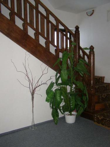 Hostal Guest House Akron