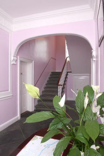 Apartamento 52 Charlotte Street