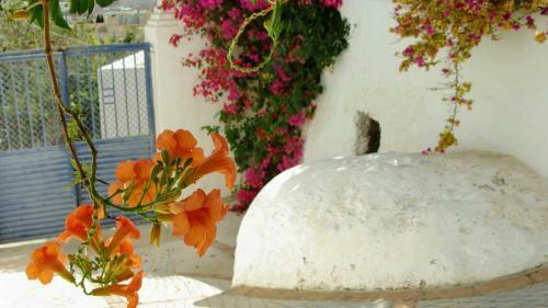 Cortijo El Grillo