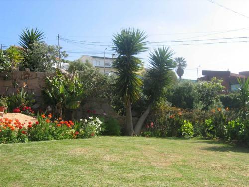 Orchidea Terrace