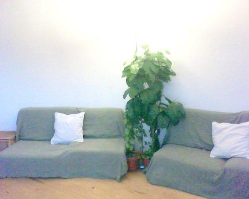 Apartment Carrer Puig Gros