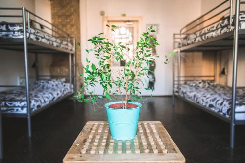 Albergue Podstel Bucharest
