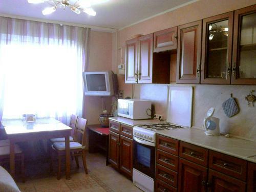 Apartment On Konnoplyannikovoy 21