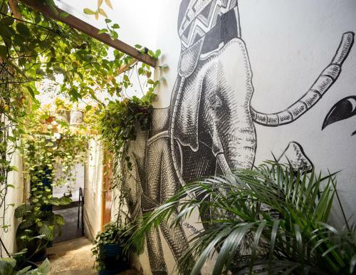 Galeria Estacion Hostel