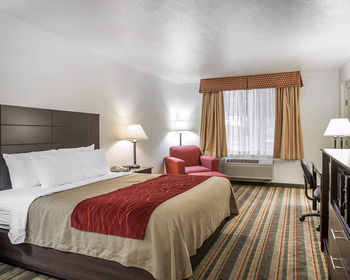 Hotel Comfort Inn & Suites Visalia - Sequoia