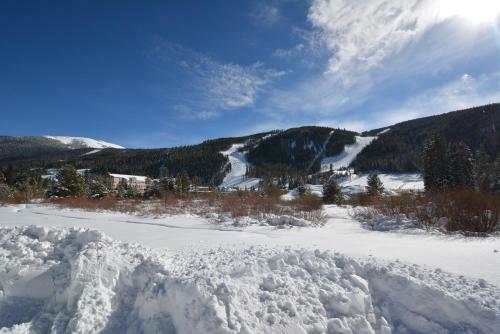 Apartamentos Tenderfoot Lodge