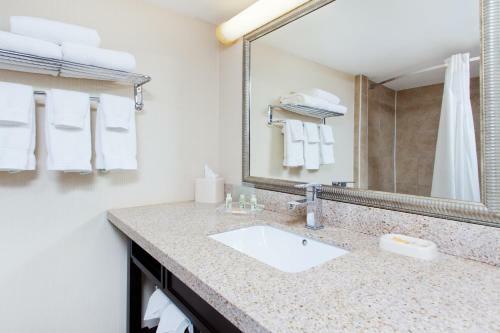 Hotel Holiday Inn Dover-downtown