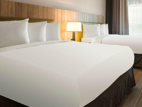 Hotel Country Inn & Suites Gainesville