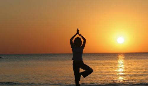 Hotel Hawks Cay Resort