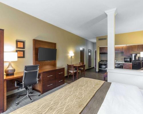 Hotel Comfort Inn & Executive Suites Naples