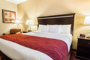 Hotel Comfort Inn & Suites Maingate South