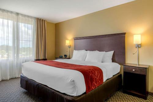Hotel Comfort Suites Sarasota-siesta Key