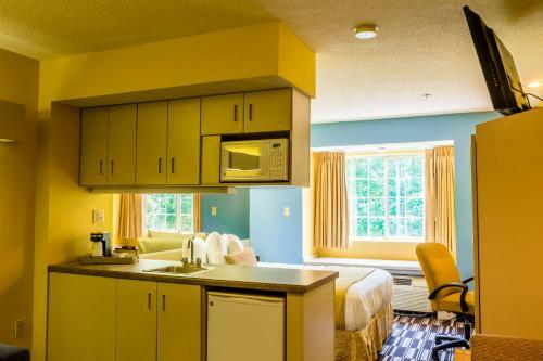 Hotel Microtel Inn & Suites By Wyndham Stockbridge
