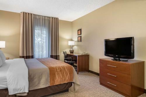Hotel Comfort Inn And Suites