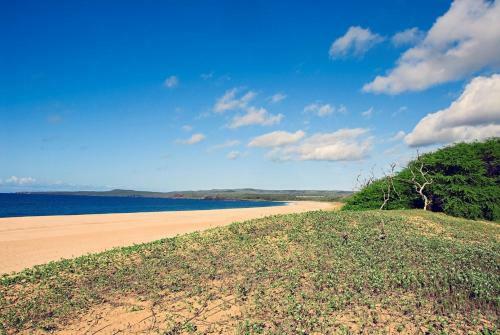 Apartamento Molokai_shores 231