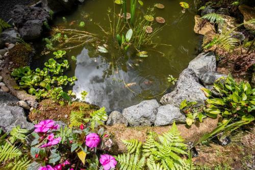 Alas Del Kealoha By Hawaii Volcano Vacations