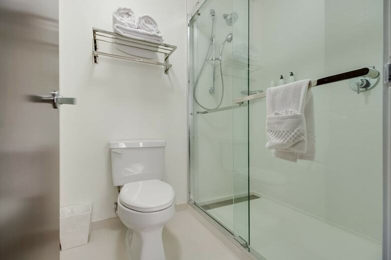 Hotel Springhill Suites By Marriott Dallas/stemmons