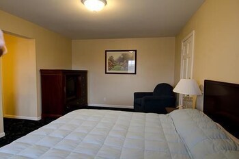 Motel Alpine Inn & Suites Rockford