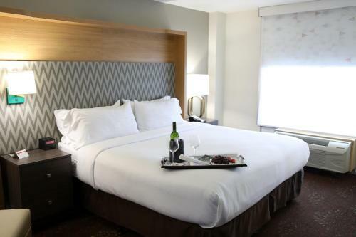 Hotel Holiday Inn O'hare Area