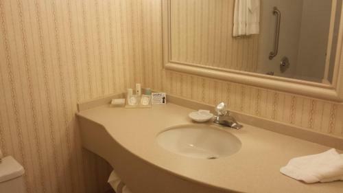 Hotel Clarion Inn South Holland